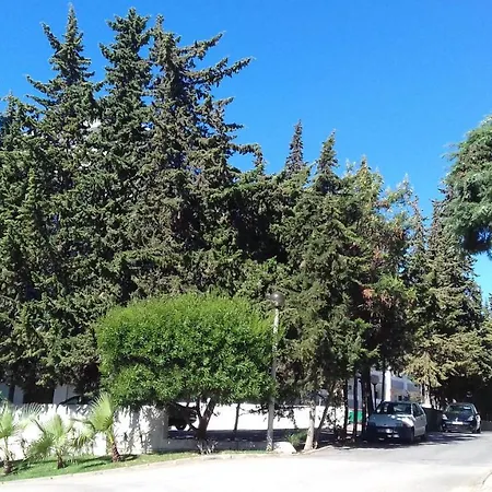 Apartamento Da Balaia